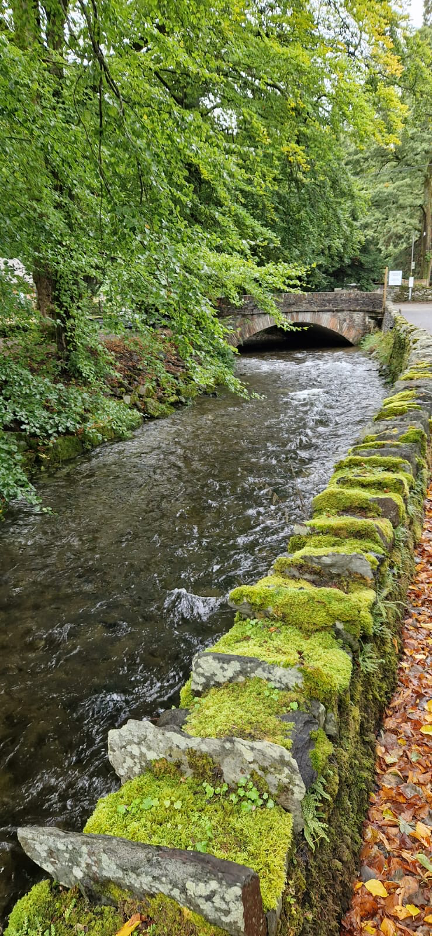 The lovely river and bridge near our hut.
