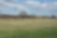 Wares Farm proposal with planted soil bund