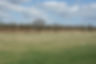 Wares Farm proposal with planted soil bund after 5 years