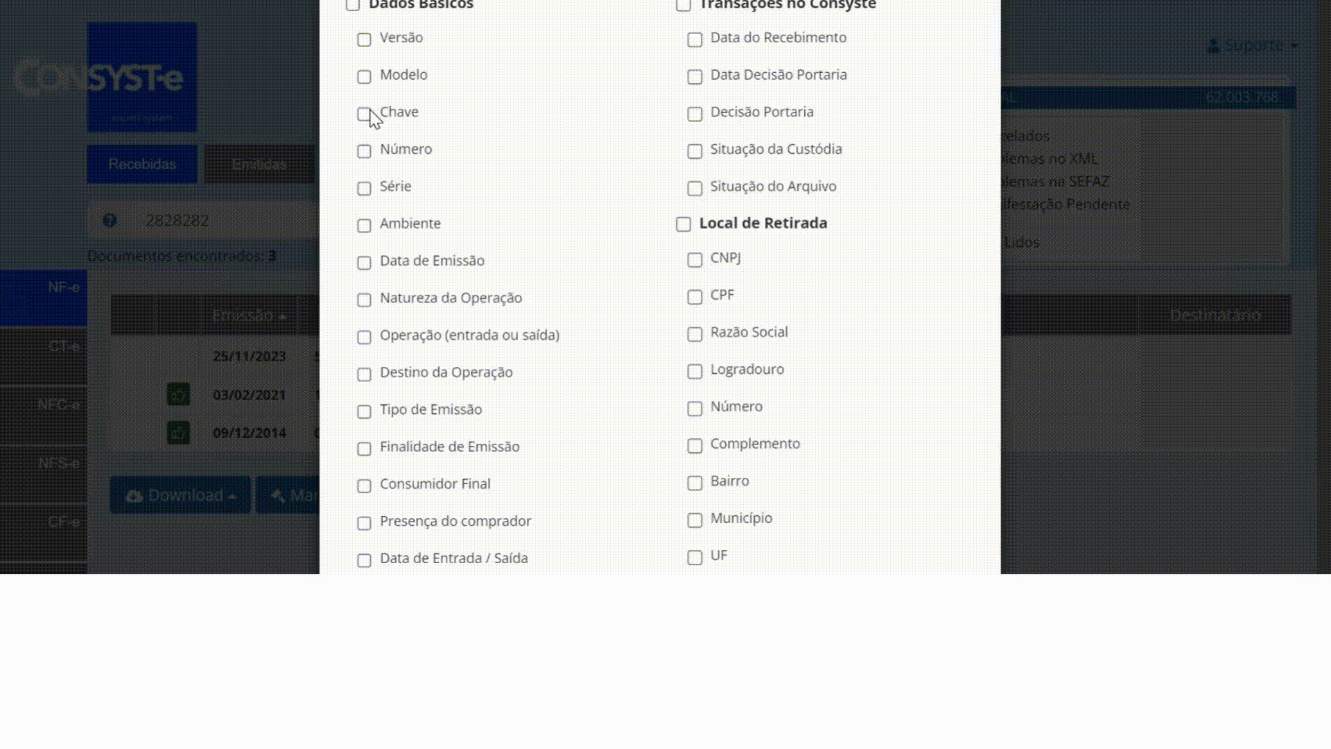 relatórios consyste