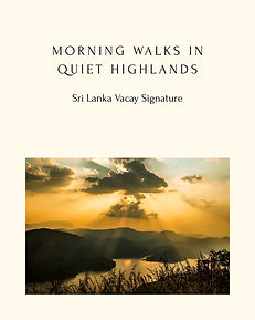 Morning Walks in Quiet Highlands.jpg