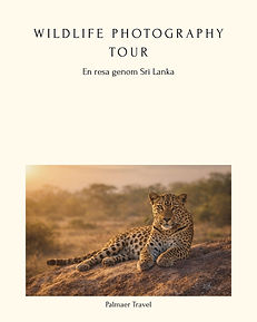 wildlife photography tour sri lanka.jpg