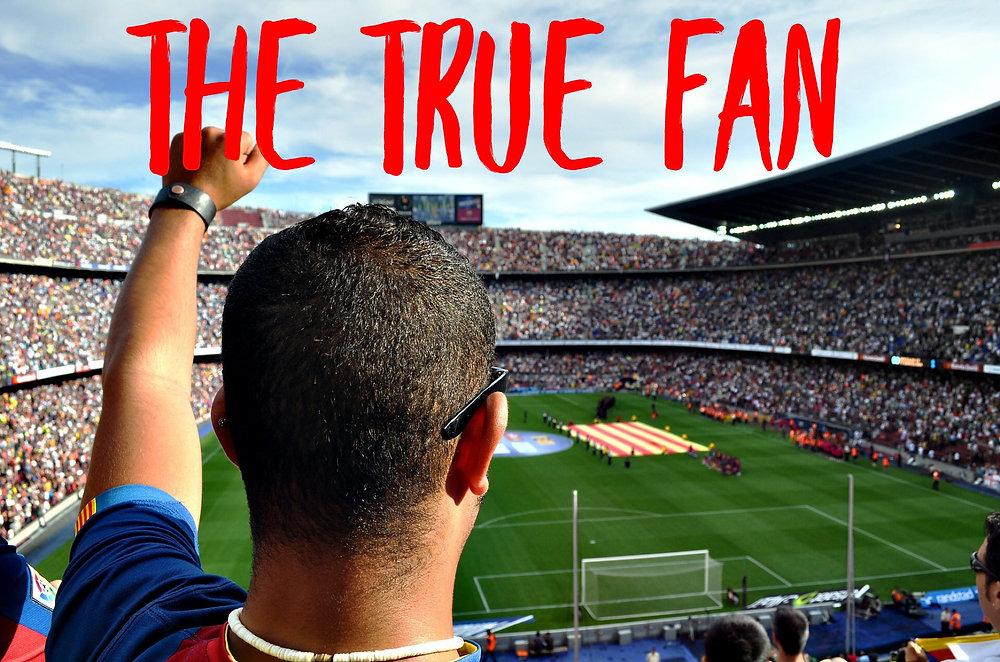 The True Fan