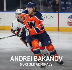 GSH_BAKANOV.png