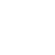 White Google+ Icon