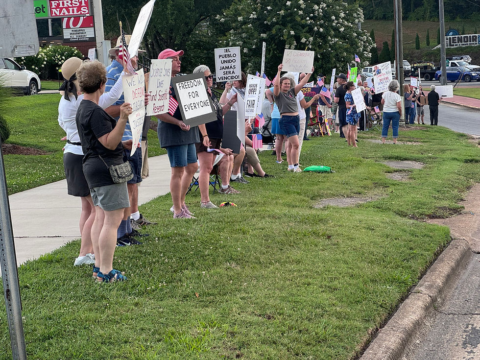 protesters at honk and wave