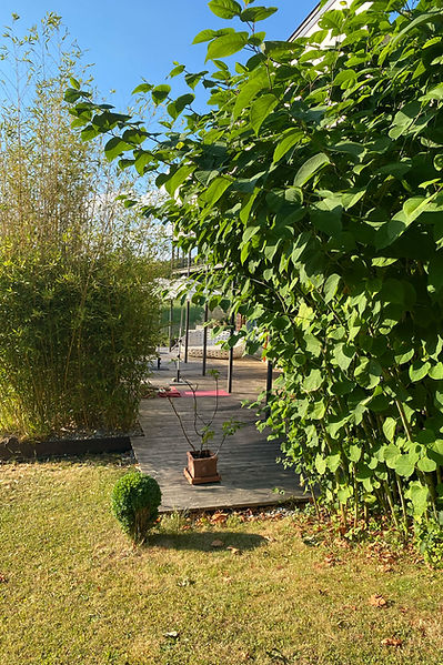 yoga-in-ambach-bettina-mager.jpg
