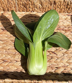 Bok Choi