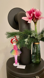 Elf on the Shelf