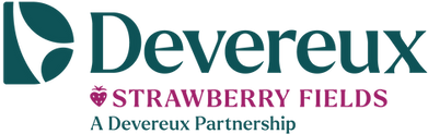 DEV_Partners_StrawberryFields_Color.png