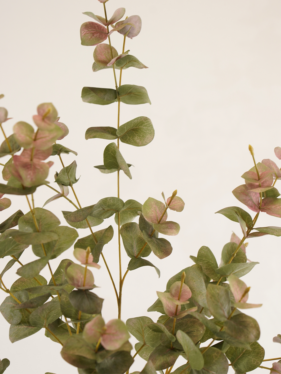 Thumbnail: Takken set Diana