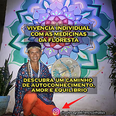 Ayahuasca Spiritual Retreats in Rio de Janeiro
