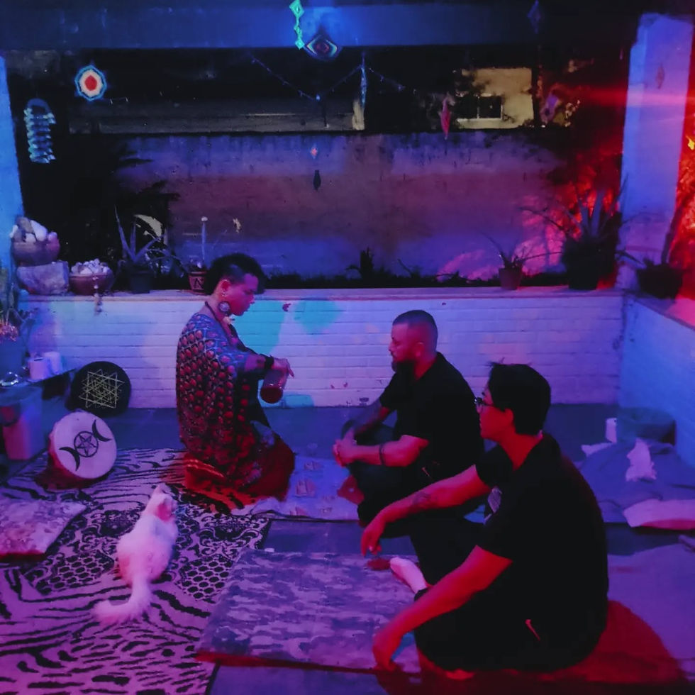 ayahuascariodejaneiro