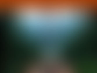 Forest Medicine Rio de Janeiro | Shamanic Healing Retreat Brazil – Sacred Temple