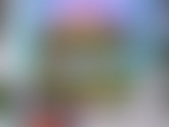 Individual Ayahuasca Experience