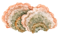 19.png