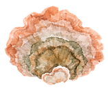 18.png