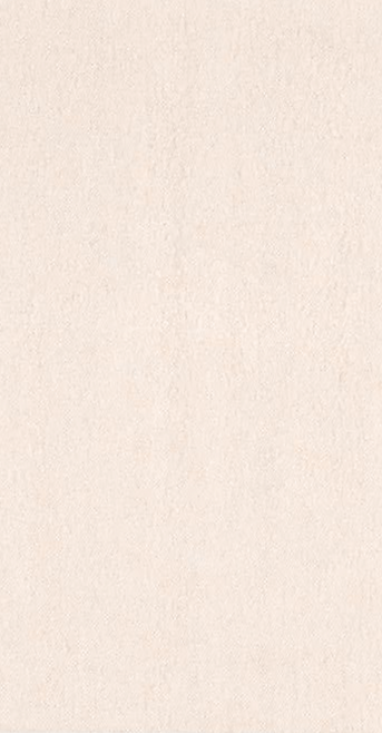 MP Wix (1).png