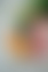 A Lockdown Chinese New Year