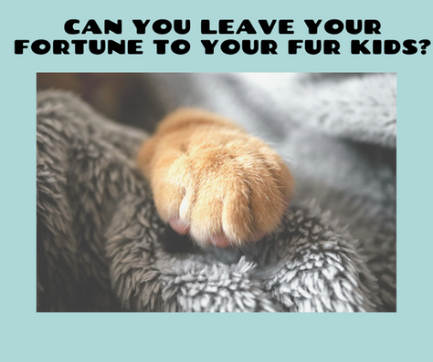 What's Your Pet Peeve?