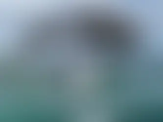 🌟 Entre saltos, corales y plumajes: las experiencias que se viven desde Carey Beach