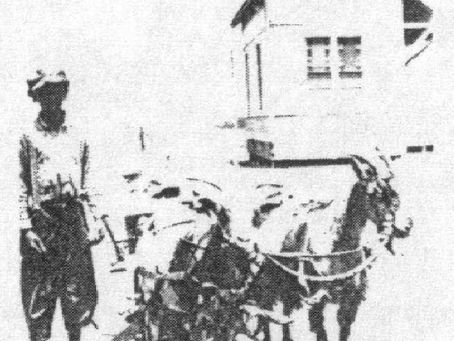 225. Pensacola Loses a Beloved Citizen 1905