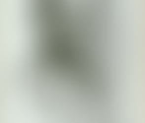 679. Pensacola's September Loss 9-21-1944 WWII