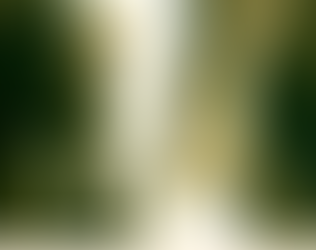 677. Pensacola September's Loss 9-19-1944 WWII