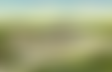 204. Navy Point Shopping Center 1946