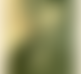 411. Pensacola's January Loss 1-5-1945 WWII