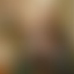 An Interview with Father Bill Vollmer