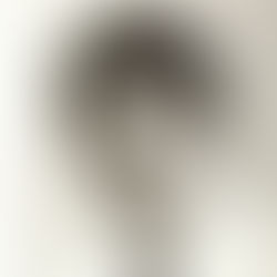 An Interview with Robert P. Russo