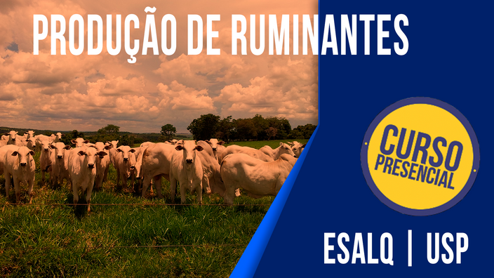 Goiânia será uma das sedes do Curso de Especialização em Produção de Ruminantes da ESALQ/USP