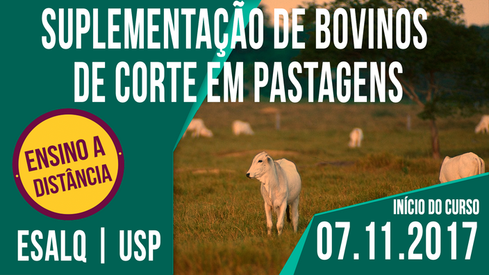 Suplementação de Bovinos de Corte é o novo treinamento EAD do Departamento de Zootecnia da Esalq/USP