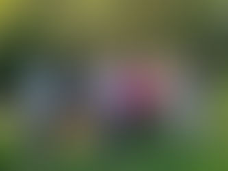 Photos marche du 1er juin