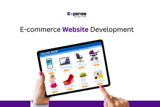 E-commerce Website Development