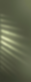FORM_APP_LANDING_bg.png