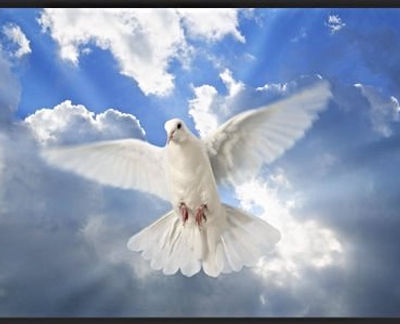 God's Love