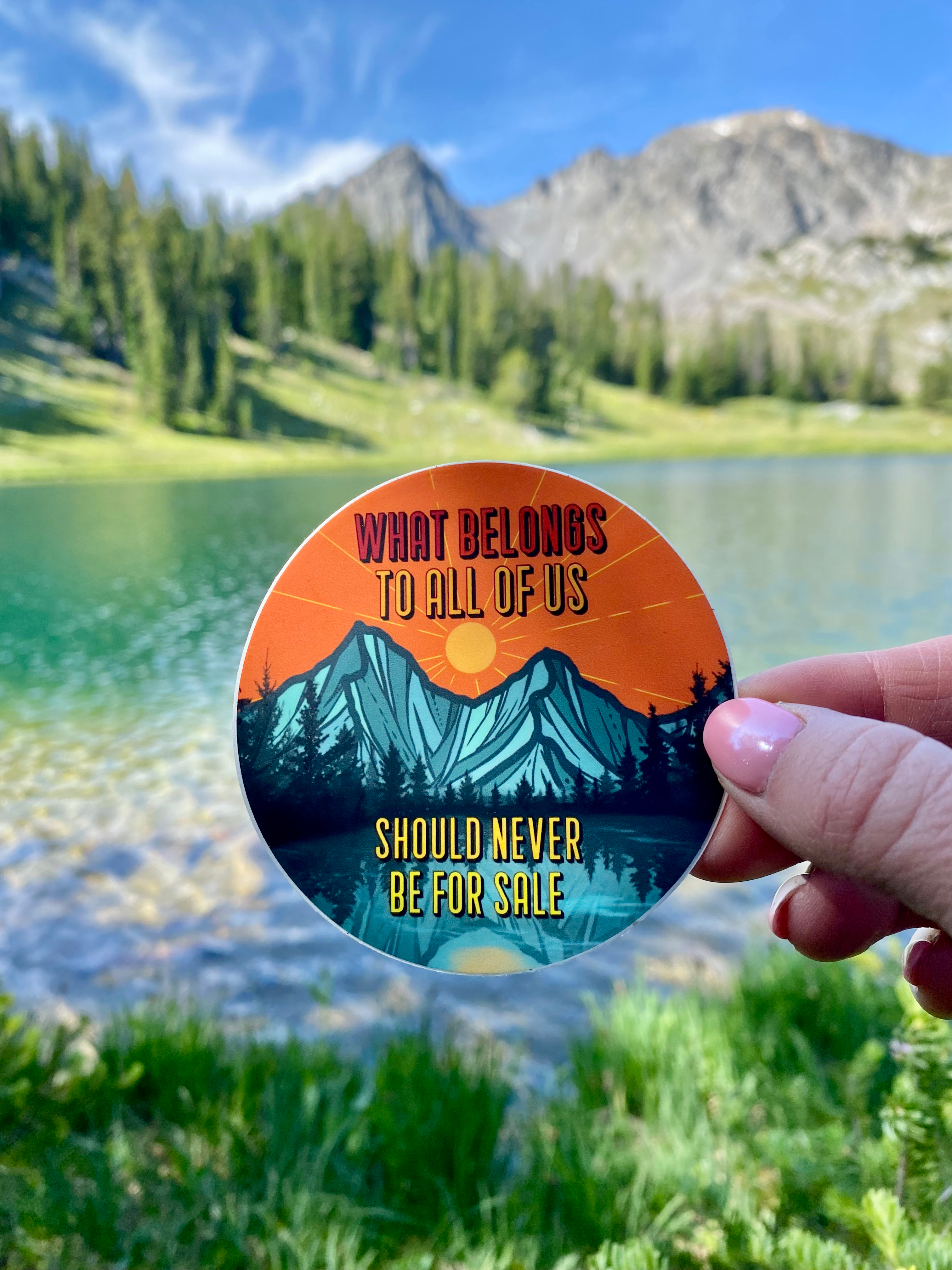 Public Lands Sticker