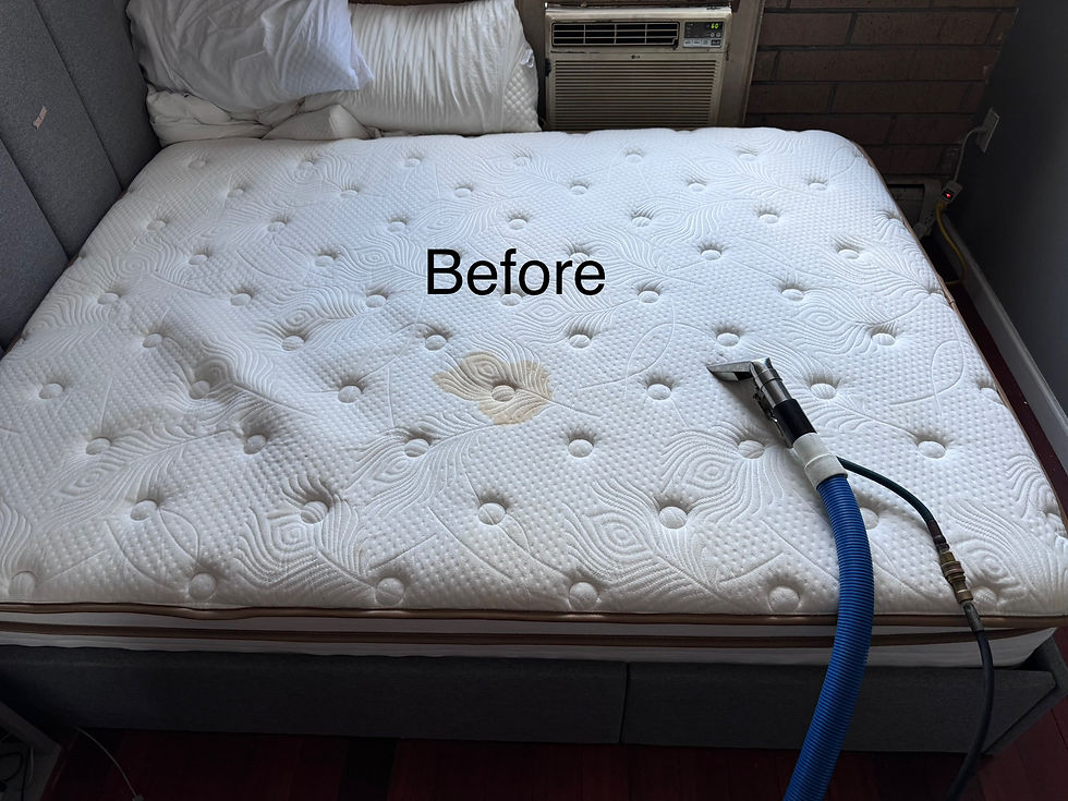 Matress before cleaning by Dirt Hunters