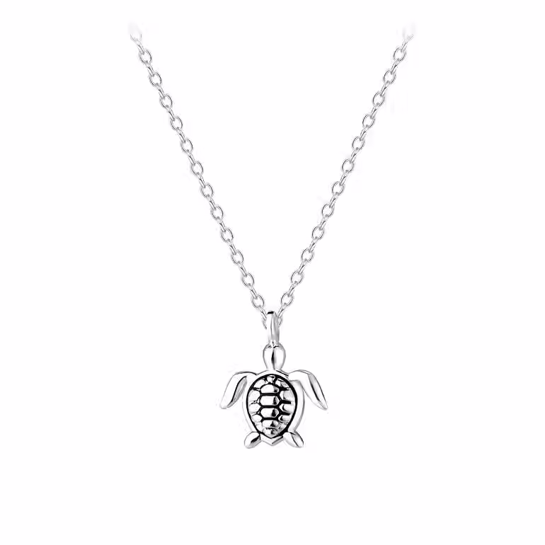 Silver Turtle Necklace for kids