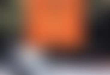 From Chicago to Chile: A Neoliberal Experiment