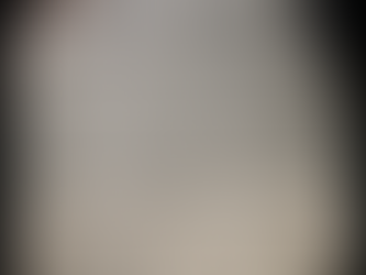 19th-Century Orientalism and Goethe: Exoticism vs. Dialogue