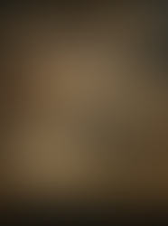 Sacred Conquest and Competing Civilizations: Mehmet II, Dostoevsky, Greek Nationalism, and the Idea of Constantinople