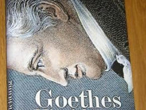Goethe, Law, and the Limits of Enlightened Governance