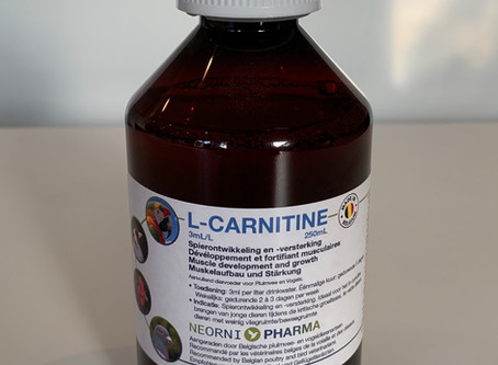 L-Carnitine