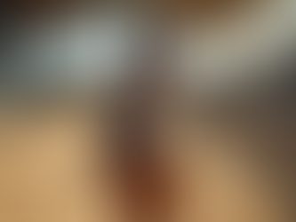 Unique Small Dressage Horses for Sale at Petite Prix