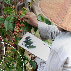 Smallholder AgriTech Business Models