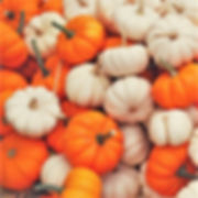 Mini Pumpkins Sack (25)