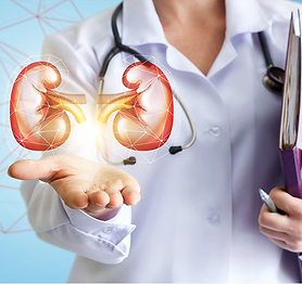 Nephrology.png